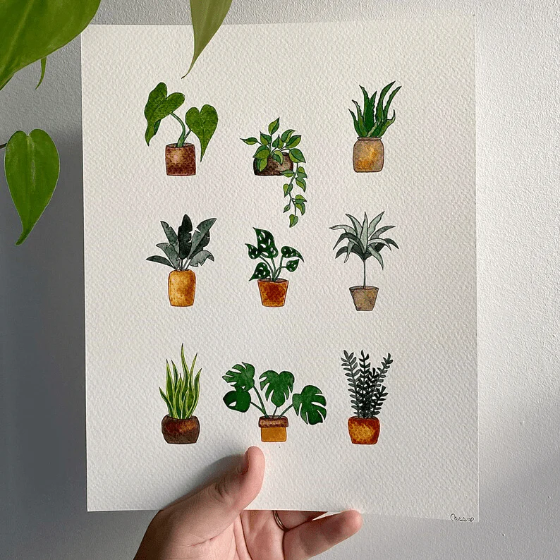 Miniature 3